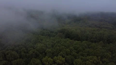 Low drone flight 4k above trees, Chalkidiki Greece Stock Footage 287223757