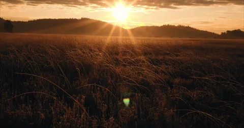 Low Drone Flight 4K Over Autumn Trees and lake at sunrise on a Fall Day Video Stock Footage 146989393