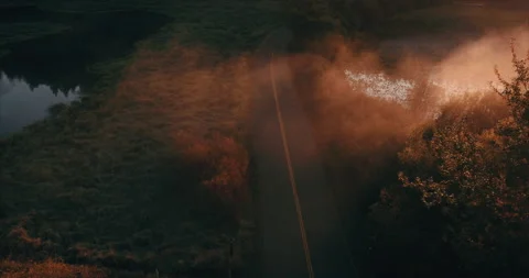 Low Drone Flight 4K Over Autumn Trees and lake at sunrise on a Fall Day Video Stock Footage 146991037