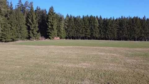 Low drone flight above field and forest edge on sunny day in Germany. Stock Footage 330193431