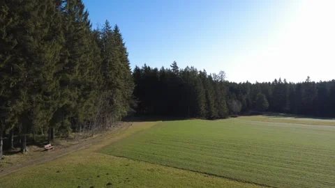 Low drone flight above field and forest edge on sunny day in Germany. Stock Footage 330193469