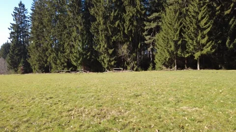 Low drone flight above field and forest edge on sunny day in Germany. Stock Footage 330193490