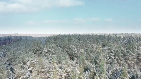 Low drone flight above forest covered in snow at sunny winter day. Stock Footage 147718432