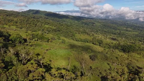 Low Drone Flight Above Green Hills, Grassland, and Fenced Plots Under a Blue Sky Stock Footage 325784492