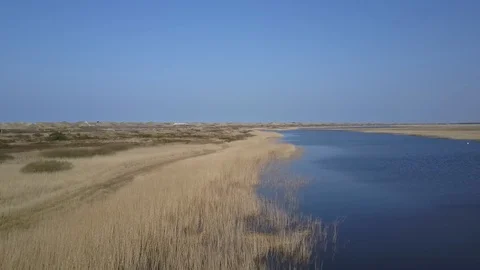 Low drone flight above reed in Northern Danmark lagoon Stock Footage 87313950