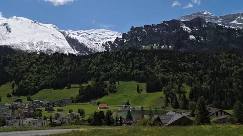 Low Drone Flight Across Alpine Meadow Toward Swiss Alps Stock Footage 336814976