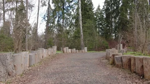 Low drone flight along forest trail Stock-Footage 330014139