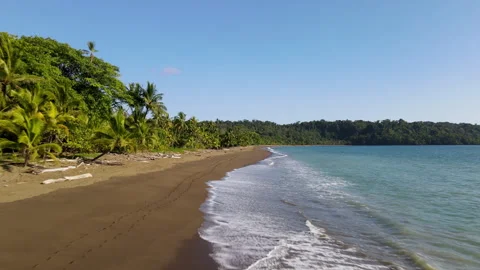 Low Drone Flight Along the Playa Rincón de San Josecito Beach, Costa Rica Stock-Footage 342282597