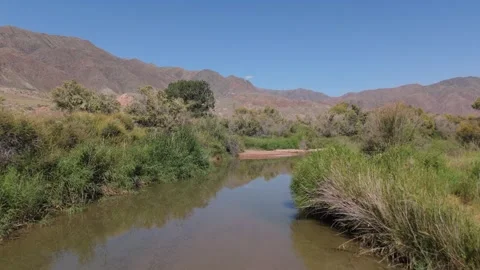 Low drone flight along a river bank, Kok-Moinok, Kyrgyzstan Stock Footage 347239836