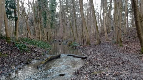 Low drone flight along a stream Stock Footage 87541172