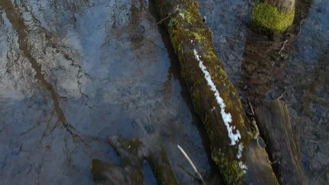 Low drone flight along a stream Видео 87676696