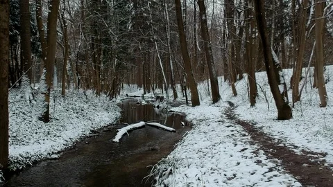 Low drone flight along a winter stream in the woods Stock Footage 87586210