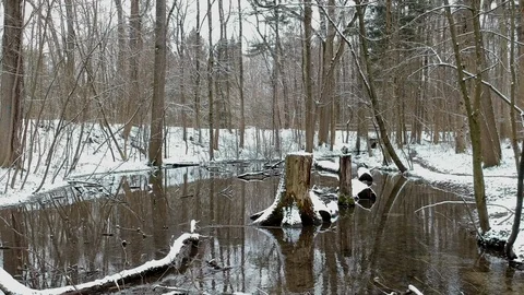 Low drone flight along a winter stream in the woods Stock Footage 87587638