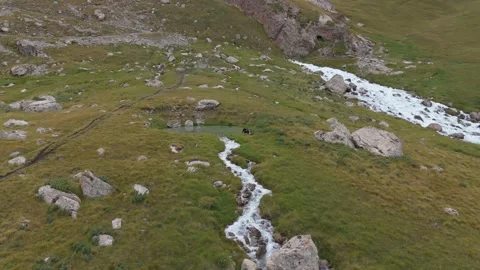 Low drone flight over alpine streams in a rocky meadow, Kel-Suu Lake, Kyrgyzstan Stockbeeldmateriaal 347241504