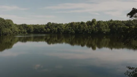 Low Drone Flight Over Calm Forest Lake in Jezierce Stock Footage 324961771
