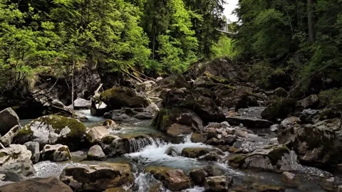 Low Drone Flight Over Crystal Clear Mountain Stream in Engelberg Stock Footage 336814975
