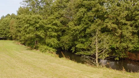 Low drone flight over the edge of a meadow where there is a small river. Stock Footage 163064959