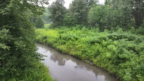 Low Drone Flight Over Forest River with Reflections in Waubaushene Ontario Stock Footage 315828925