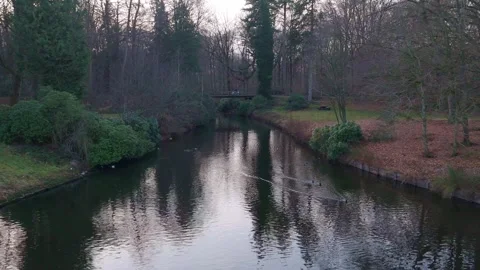 Low Drone Flight Over Forest Stream With Ducks, Belgium | FlyLens Stockbeeldmateriaal 328237936
