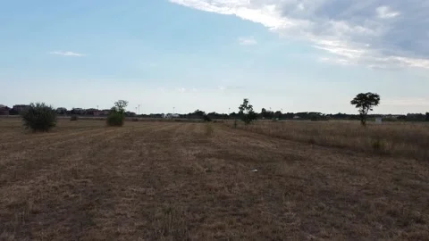 Low drone flight over the grass as sun sets Stock Footage