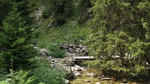 Low Drone Flight over the Mountain River Demyanitsa Video stock 121102365