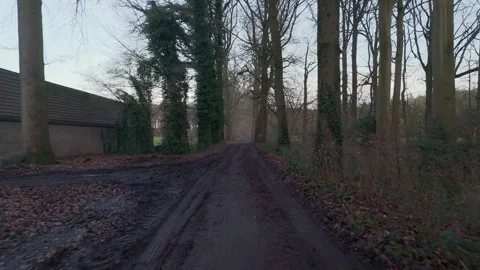 Low Drone Flight Over Muddy Forest Path, Belgium | FlyLens Stockbeeldmateriaal 328238764