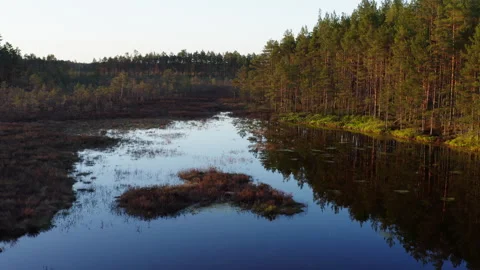 A low drone flight over a natural marsh pond at sunset. Swamp landscape. Stock Footage 276530037