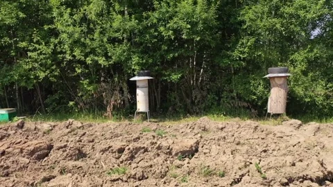 Low drone flight over plowed field near apiary in Kolomna Stock Footage 327884657