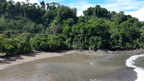 Low Drone Flight over Rainforest Canopies on the Pacific Coastline of Costa Rica 库存影片 342402703
