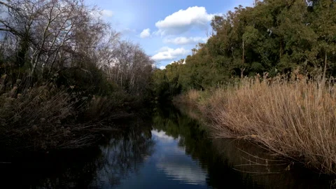 Low DRONE FLIGHT over a RIVER Stock Footage 239355663