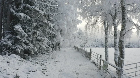 Low drone flight over snowy forest path along wooden fence in winter 스톡 동영상 321947260