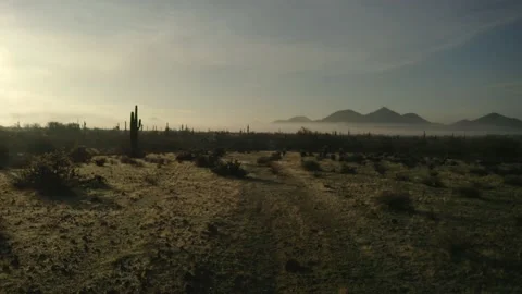 Low drone flight over the Sonoran Desert of Arizona Stock Footage 131347288
