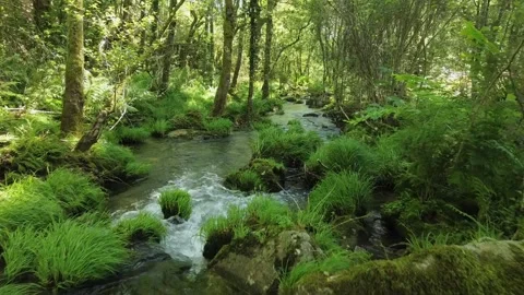 Low drone flight over a stream Video stock 132513101