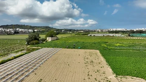 Low Drone Flight Over Vibrant Maltese Farmland and Patchwork Fields Stock Footage 307174122