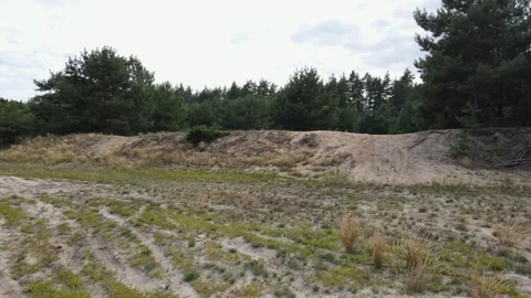 Low drone flight rising over sandy forest terrain Stock Footage 314409759