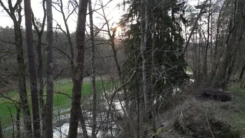 Low Drone Flight Through Flooded Forest at Sunset in Bavaria Stock Footage 340627431