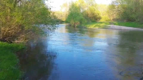 Low Drone Flight Through Forest Revealing River in Natural Landscape 4K Video stock 332720007