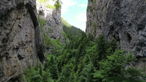 Low Drone Flight Through the Narrowest Section of Trigrad Gorge Above the Fo Stock Footage 340633582