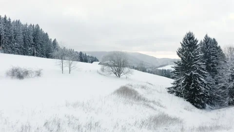 Low drone flight through snowy forest and trees in winter landscape Stock-Footage 332008684