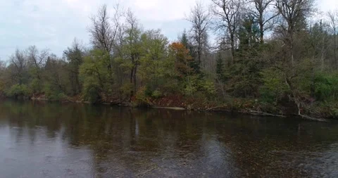 Low drone flying over pristine Sava river in Slovenia Stock Footage 147096481