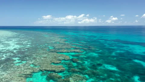 Low drone flying slowly over Great Barrier Reef Stock-Footage 194582474