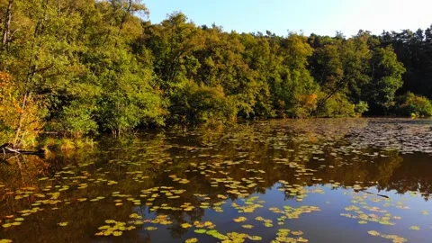 Low drone flyover lake Stock Footage 143396403