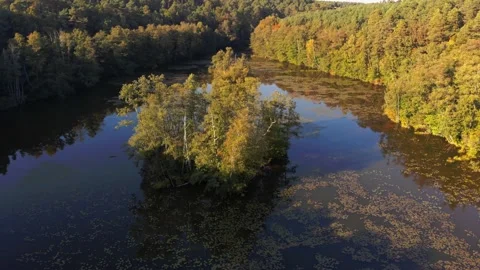 Low drone flyover over autumn river in Brandenburg, Germany Stock Footage 143396978