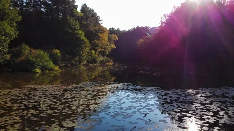 Low drone flyover over autumn lake, river and forest in Brandenburg, Germany Stock Footage 143400810