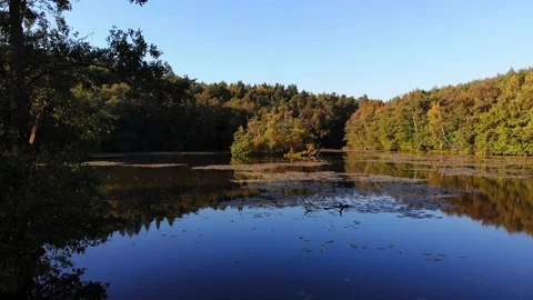 Low drone flyover over autumn lake in Brandenburg, Germany Stock Footage 143401232