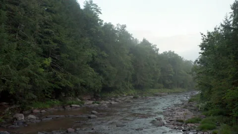 Low drone glide through creek Stock Footage 140782106