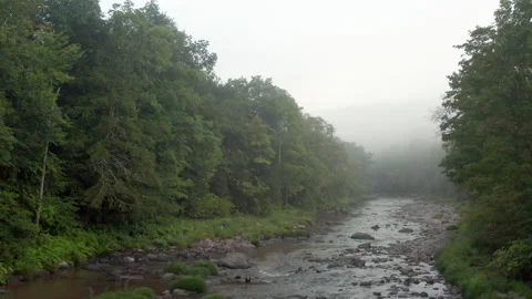 Low drone glide through creek with fog Stock Footage 140782813