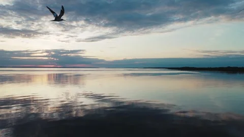 Low drone hover over the Rio Negro during golden hour Stock Footage 322127553