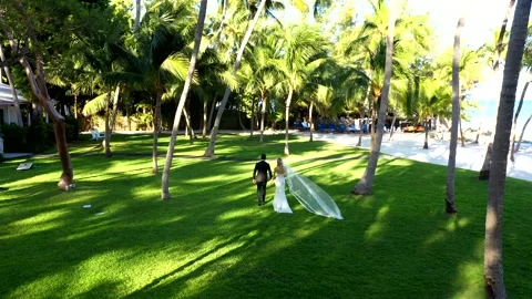 Low Drone Over Green Resort Lawn With Couple Walking Away Stock Footage 311566743