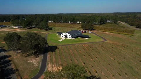 Low Drone Right Rotation of Vineyard Wedding Venue Vidéo 301857293